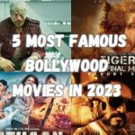 5 Most Famous Bollywood Movie in 2023