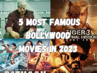 5 Most Famous Bollywood Movie in 2023