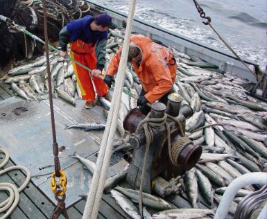 Fishermen/Fishing Industry Workers