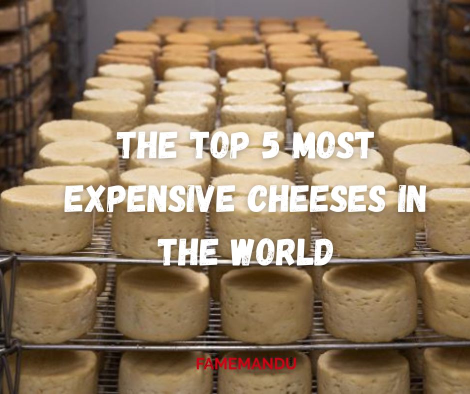 The Top 5 Most Expensive Cheeses in the World