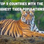 Tiger Triumphs: Exploring the Top 5 Countries with the Highest Tiger Populations