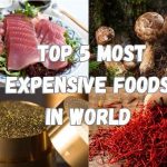 Top 5 Most Expensive Food in World