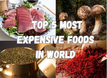 Top 5 Most Expensive Food in World