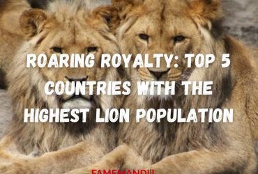 Roaring Royalty Top 5 Countries with the Highest Lion Population