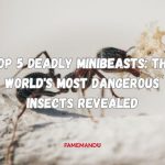 Top 5 Deadly Minibeasts The World's Most Dangerous Insects Revealed