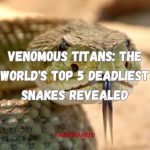 Venomous Titans The World's Top 5 Deadliest Snakes Revealed